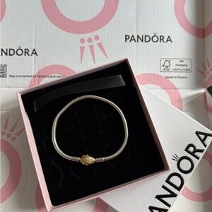 Pandora 14k Plated Snake Clasp & Chain Bracelet